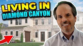 Living in Diamond Canyon in Pleasanton CA