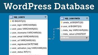 WordPress Database Tutorial: Overview of MySQL Structure & phpMyAdmin