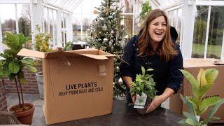 Unboxing Houseplants!  // Garden Answer