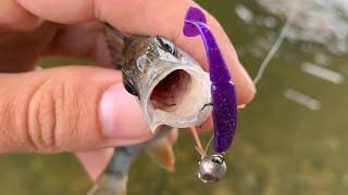 Рыбалка в центре города Винница! Ловля на реке Южный Буг. StreetFishing