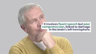 Carl Wernicke Language and Brain
