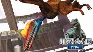 Нет нокаута Jurassic World The Game прохождение на русском