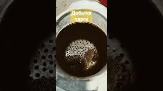 как выбить пергу из сот
