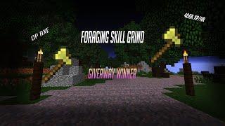 Hypixel Skyblock 400,000 Foraging XP Per HOUR! (Giveaway Winners!)