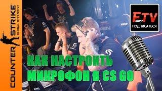 Как настроить микрофон для кс го TheFridayTV