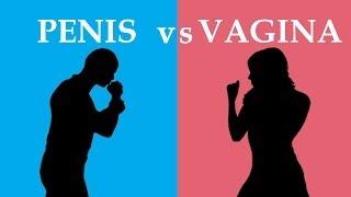 Penis vs Vagina