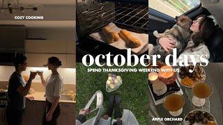 Cozy October Vlog | Thanksgiving weekend, apple orchard, lots of cooking, Sunday reset, life chat