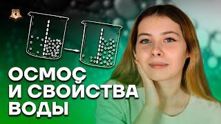 Осмос и свойства воды | Биология ЕГЭ 10 класс | Умскул