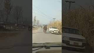 Gari Habiabulla Rood Mansehra hazara Pakistan