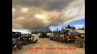 The Ex-Wife Forest Fire Back Again Which is Getting Boring June 20 2025