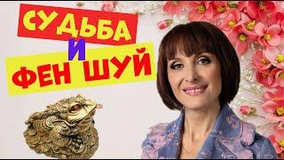 Светлана Рожкова.Юмористическая передача.Юмор.