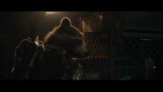 Guardians Of The Galaxy Vol 3 Saving The Other Animal's