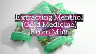 Extracting Menthol From Mint Leaves *RE-UPLOAD*