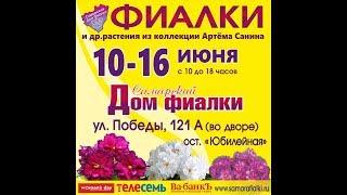 ВЫСТАВКА ФИАЛОК и др. геснериевых,Самарский Дом фиалки,10-16 июня.