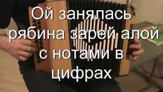 Ой занялась рябина зарёй алой с нотами в цифрах