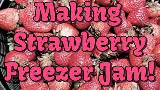 Let's Make Strawberry Freezer Jam!
