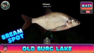 Russian Fishing 4 - Русская Рыбалка 4 - Old Burg Lake - Bream Spot - #459