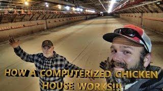 FEEDING A NATION! REAL LIFE..REAL INSIDE LOOK AT COMMERCIAL CHICKEN FARMING
