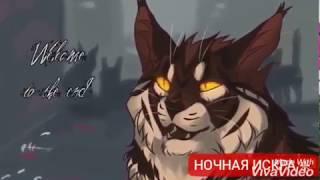 Коты воители~клип~огнезвёзд и бич