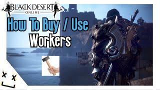 How To Use/Buy Workers In Black Desert Online [BDO] Beginner Guide