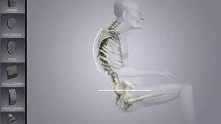 Spine Align System for JAY J3 Backs - Sunrise Medical Australia