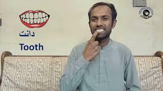 Part 1 | Parts of the body | Pakistan Sign Language | Lesson - 038