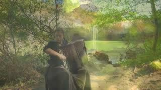 P. I. Tchaikovsky: "The Seasons" op.37a, October - Autumn song, accordion