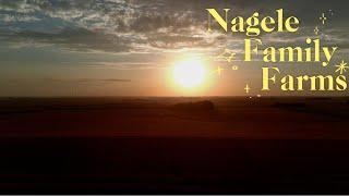 Nagele Family Farms