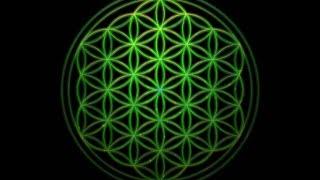 528 Hz Miracle Tone | Raise Positive Vibrations | 528 Hz Healing frequency | Positive Energy Boost