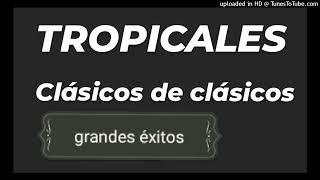 TROPICALES CLÁSICOS DE CLÁSICOS