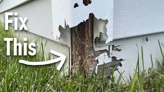 Easy DIY Fix for Damaged Siding