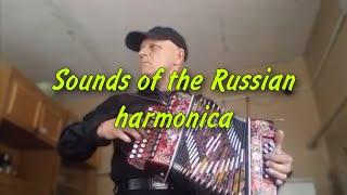 A simple hard worker plays the harmonica very cool! Sounds of the Russian harmonica