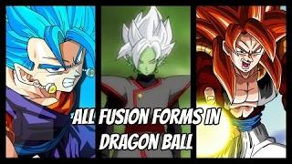 All Fusion Forms And Transformations In Dragon Ball