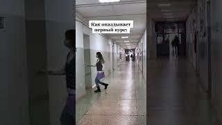 КАК ОПАЗДЫВАЕТ ПЕРВЫЙ КУРС