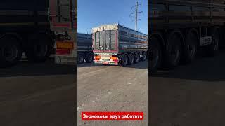 Новые зерновозы отправляются в путь