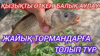 Қызықты өткен балық аулау. ЖАЙЫҚ ТОРМАНДАРҒА ТОЛЫП ТҰР.