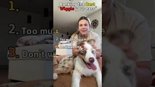 Best "Wiggle your ears"!!Part 4