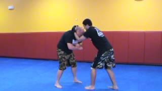 Dauntless MMA Delaware