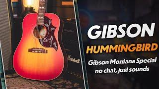 Gibson Montana Special Hummingbird | No Chat, Just Sounds