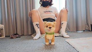 강아지인형과 속옷벗기│룩북│lookbook│줌마