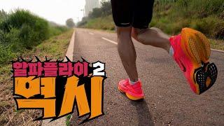 나이키 알파플라이2 첫 느낌 리뷰 | 20km 장거리 달리기