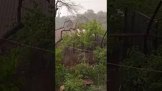 Heavy rain.Հորդառատ անձրև ливневый дождь11.05.2022️