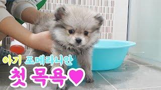 까치 첫 목욕하는 날~