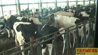 Farmers Weekly visits a 32,000 cow dairy