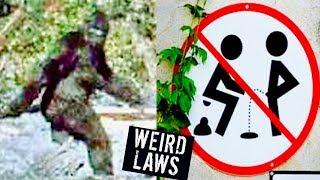 5 WEIRDEST LAWS IN THE WORLD