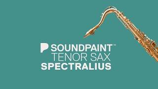 Soundpaint - 1980 Tenor Saxophone Spectralius w/ H.A.L Technology
