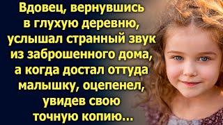 Вдовец услышал странный звук из заброшенного дома. А увидев малышку, свою точную копию…