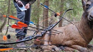 Спортивная охота с луком ВЕСНА