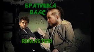 Братишка Ваас (Ваас "кого ты выберишь?") (Озвучка Зелёный слоник) (Ремастер)