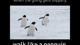 Walk like a penguin